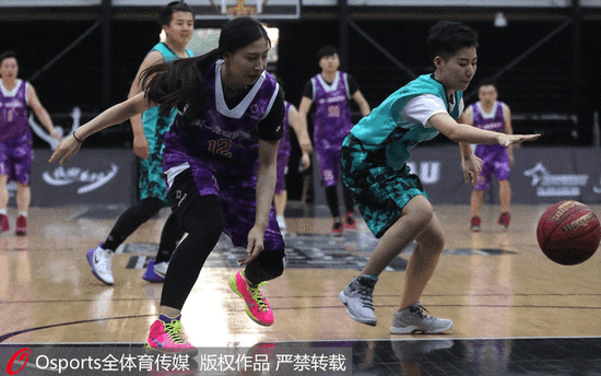 llo与P llo与P